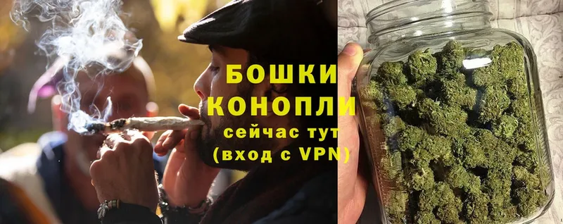 Каннабис Bruce Banner  Петухово 